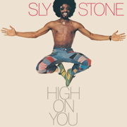 Crossword Puzzle - Sly Stone