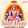 Jagath Janani (Instrumental)