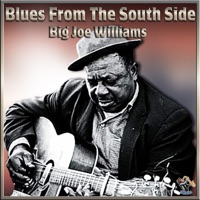 Blues From the South Side - Big Joe Williams