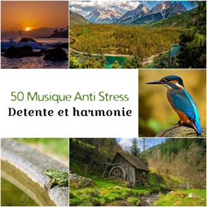 50 Musique Anti Stress: Detente et harmonie