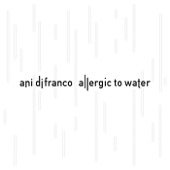 Ani DiFranco - Harder Than It Needs To Be