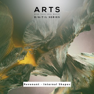 Internal Shapes - Single