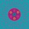 Morning Dew (Live at Barton Hall, Cornell University, Ithaca, NY 5/8/77) - EP