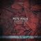 Aviator - Pete Walk lyrics