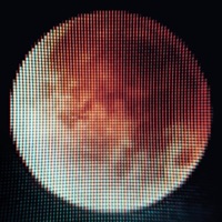 Moon (feat. Gruw) - Single - The Disclaimerz