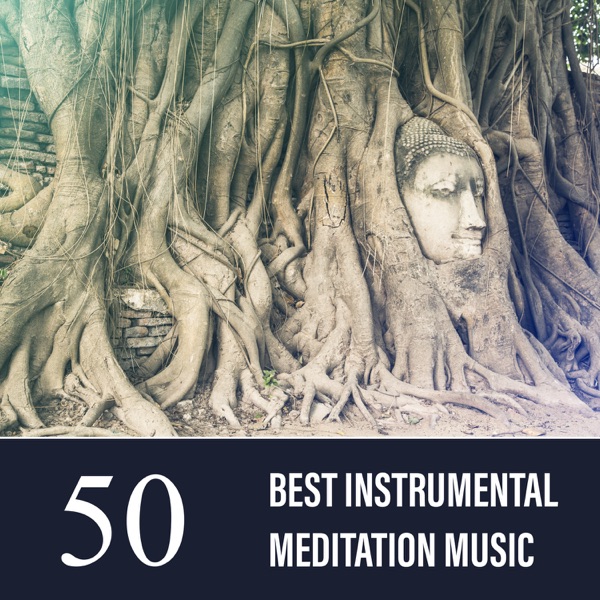 50 Best Instrumental Meditation Music: Buddha Contemplation Bar, Healing Nature Sounds, Find Inner Peace