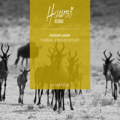 Tribal Kingdom EP
