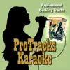 ProTracks Karaoke - My Love Is Like...Wo (Originally Performed by Mya) [Karaoke]