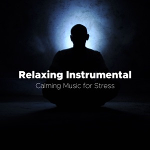 Relaxing Instrumental: Calming Music for Stress