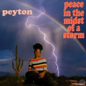 Kingdom of Prince by Peyton