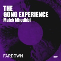 The Gong Experience - Single - Malek Mhedhbi