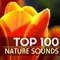 Tinnitus Relief - Nature Sounds Spa Therapy lyrics