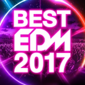 BEST EDM 2017 artwork