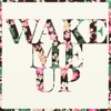 Wake Me Up - Single, 2017