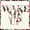 WAKER - WAKE ME UP - BONNAROO 2017