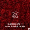 Burning For U (Tank Parade Remix) - Single