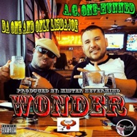 Wonder (feat. A.G. One-Hunned) - Single - Da One And Only LisdaJoe