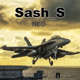 Neo Sash_S