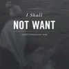 Galkin Evangelistic Team - I Shall Not Want