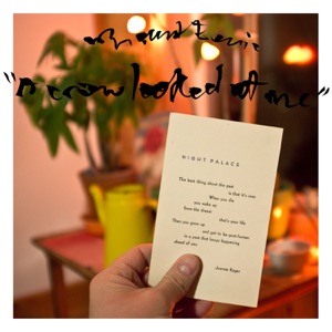 A Crow Looked at Me by Mount Eerie