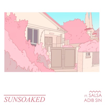 Sunsoaked (feat. Salsa) - Single
