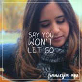 Say You Won't Let Go