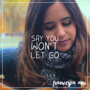 Say You Won't Let Go - Single