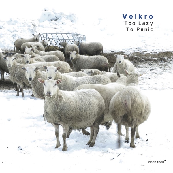 Too Lazy to Panic (feat. Bostjan Simon, Stephan Meidell & Luis Candeias)