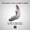 No Need To Worry (Fred Everything Lazy Vox Mix)