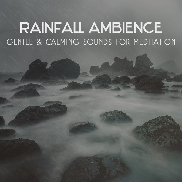 Rainfall Ambience – Gentle & Calming Sounds for Relaxation, Struggling with Insomnia, Music for Rest and Liquid Dreams
