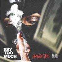 Say Too Much - Single - Prince Tre