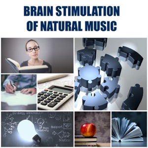 Brain Stimulation of Natural Music – Easy Learning, Increase Knowledge, Deep Concentration and Improve Your Skills, Inner Motivation