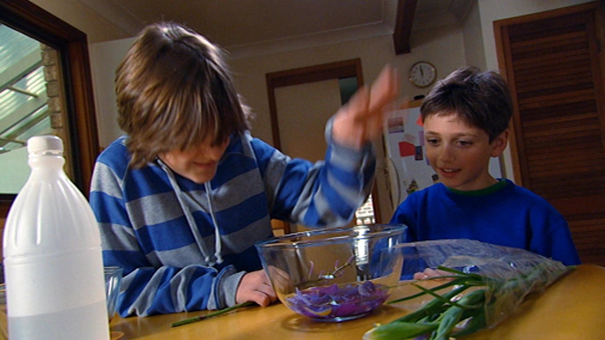 ‎Fizzy Rockets, Circles, Curly Ribbon, Goosebumps, Spicy Salsa ...
