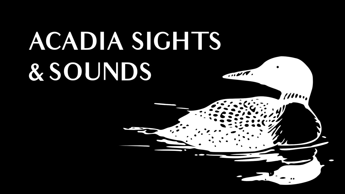 ‎Acadia Sights & Sounds - Apple TV