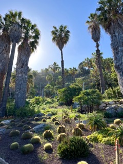 Mossen Costa I Llobera Gardens in Barcelona, Spain - Apple Maps