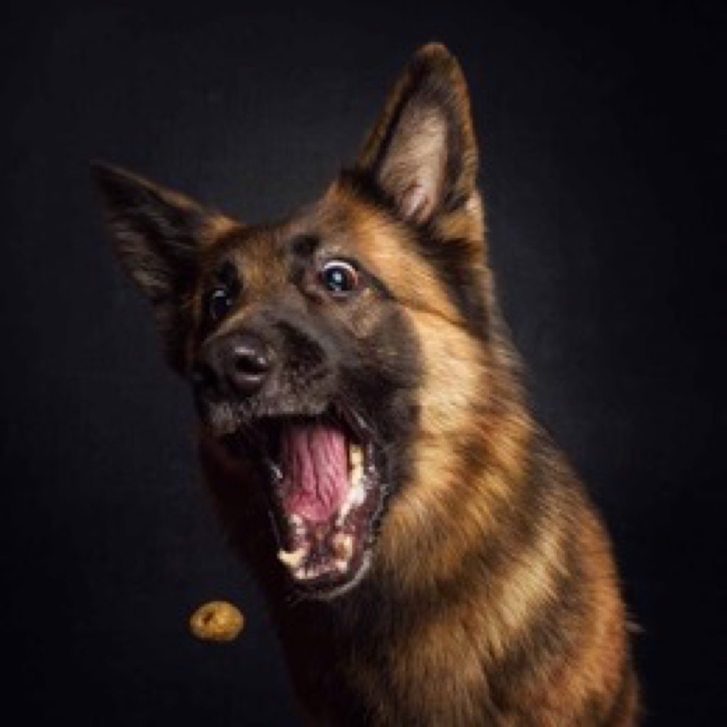 AppleMusic profile picture for @tomasz