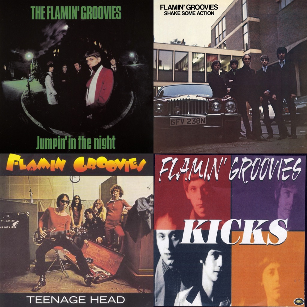 Flamin' Groovies: Next Steps