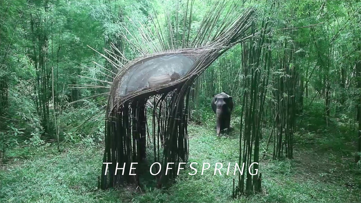 ‎The Offspring - Apple TV