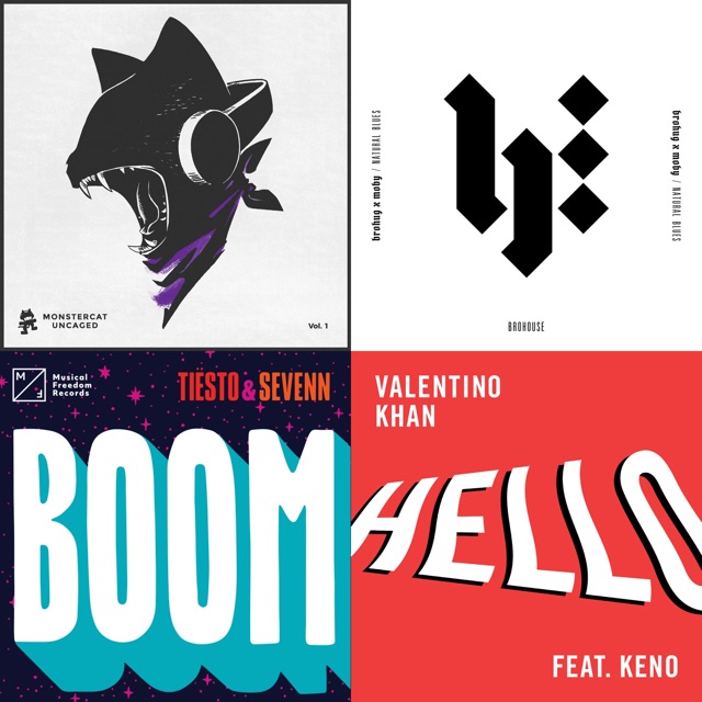 Bass House 2018