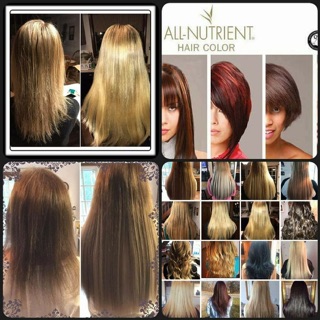 Lush Locks Hair Extensions