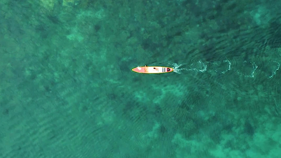 Paddle Logger: SUP & Kayaking App Store search result