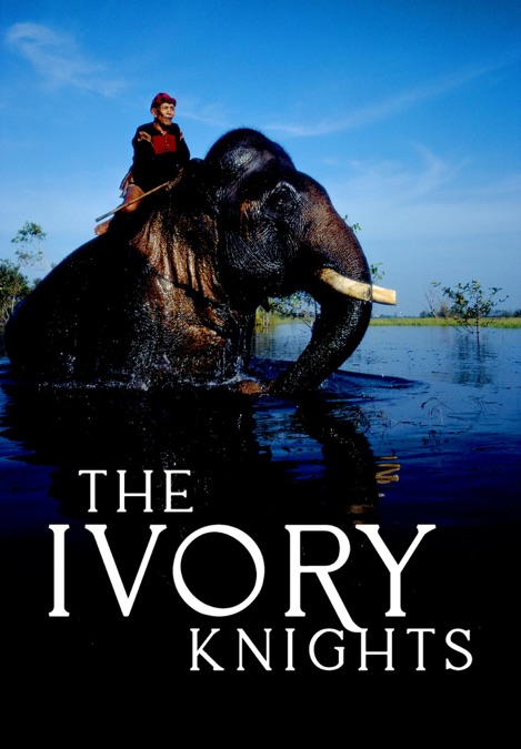 ‎Ivory Knight - Apple TV