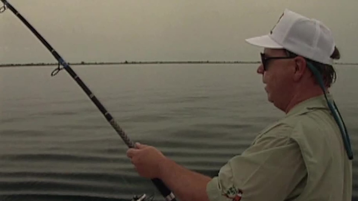 60 Seconds of Pure Adrenaline Tarpon in Venice, Florida Inside