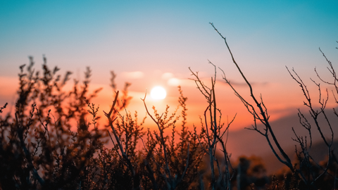 Read more about Understanding Grief