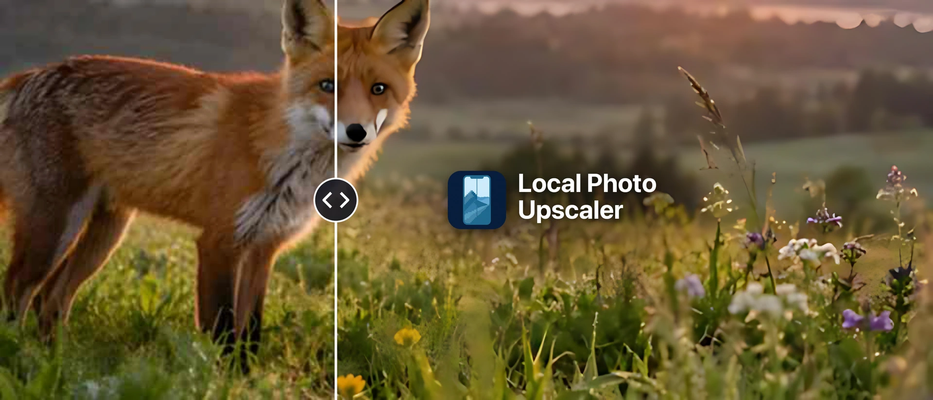 Local Photo Upscaler product page header