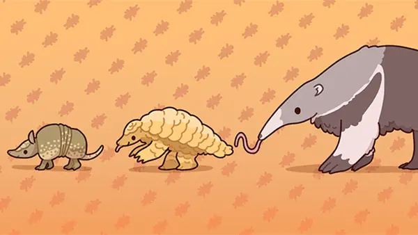 Anteater Friends