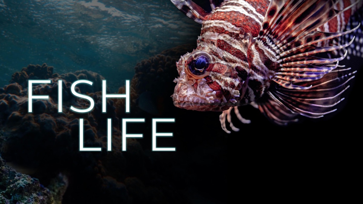 ‎Fish Life - Apple TV