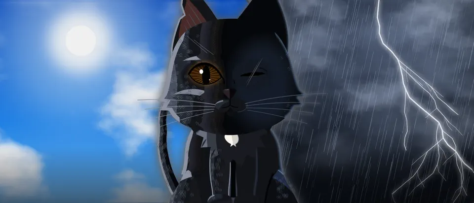 Cat Weather