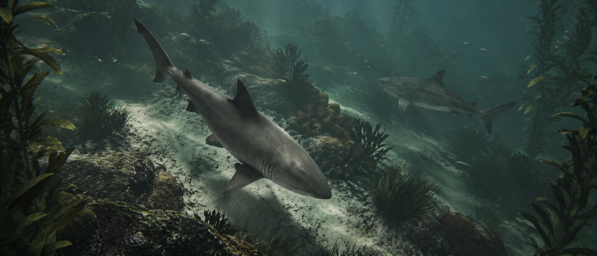 Death in the Water 2 product page header