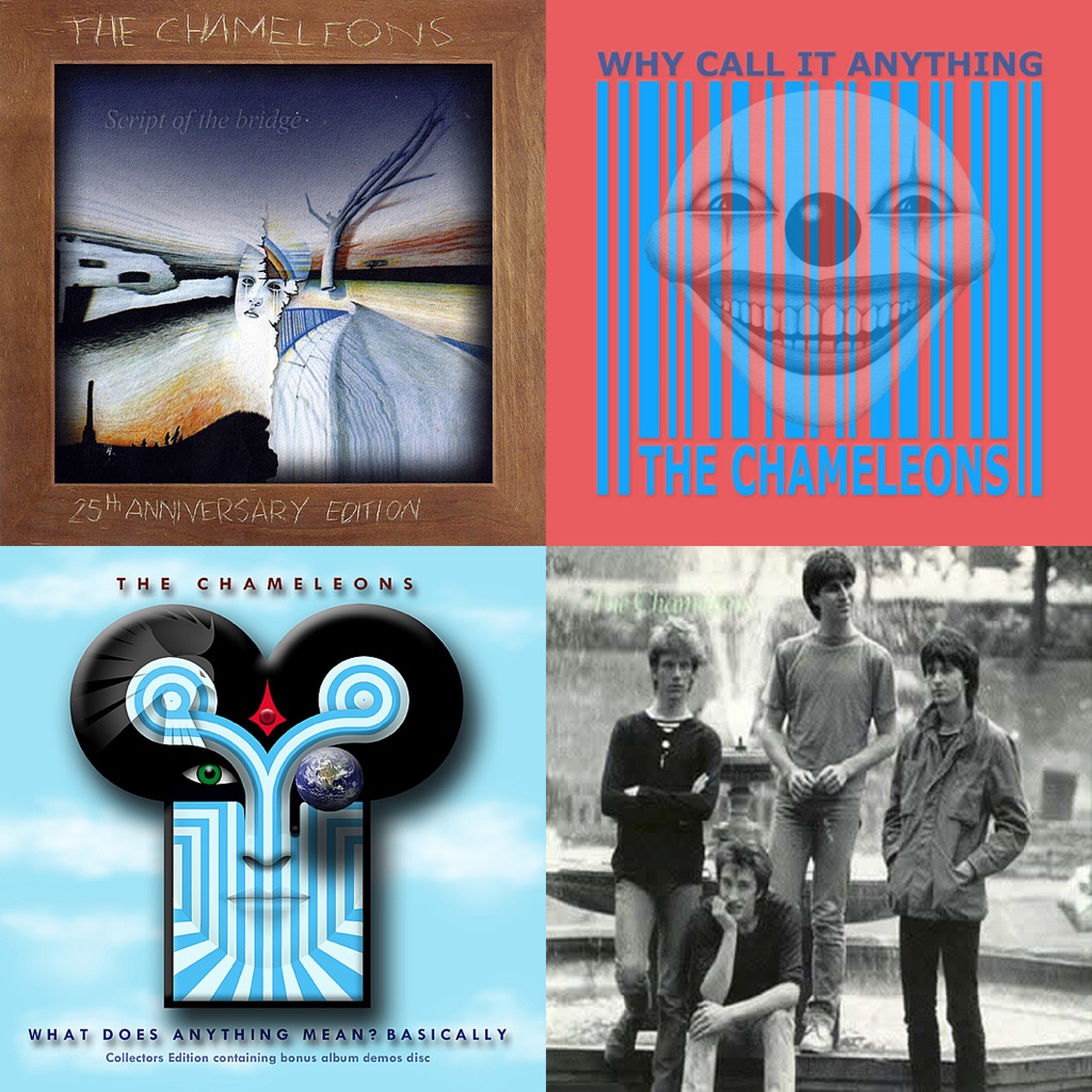 The Chameleons UK Essentials